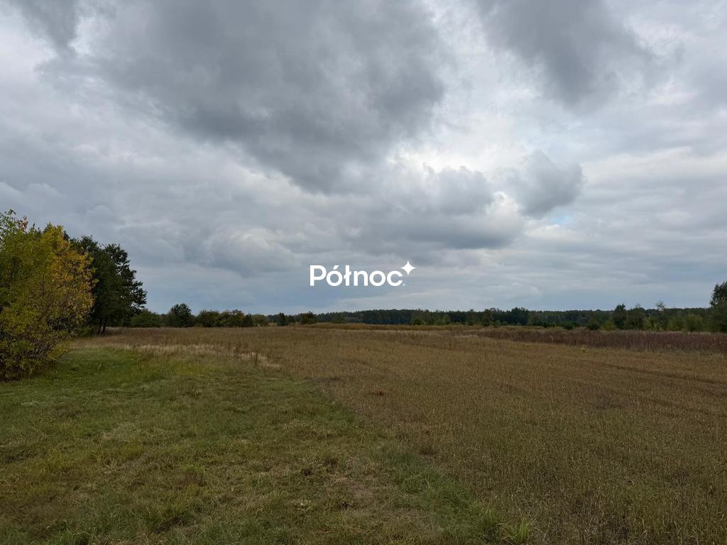 Zdjęcie 5