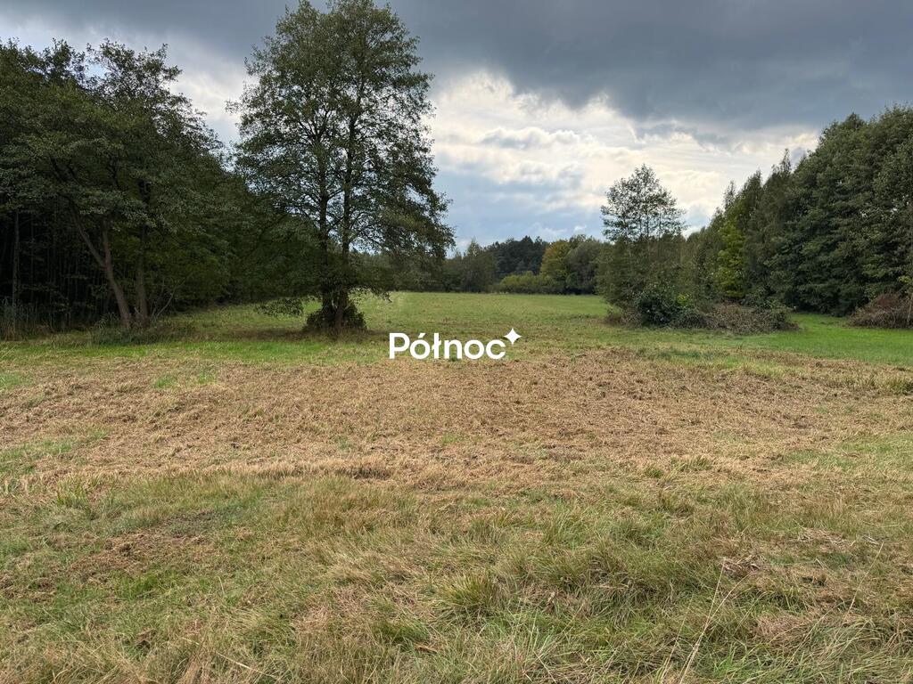 Zdjęcie 2
