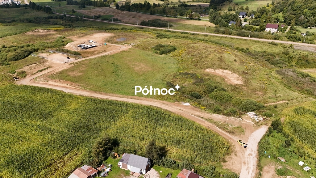 Zdjęcie 8