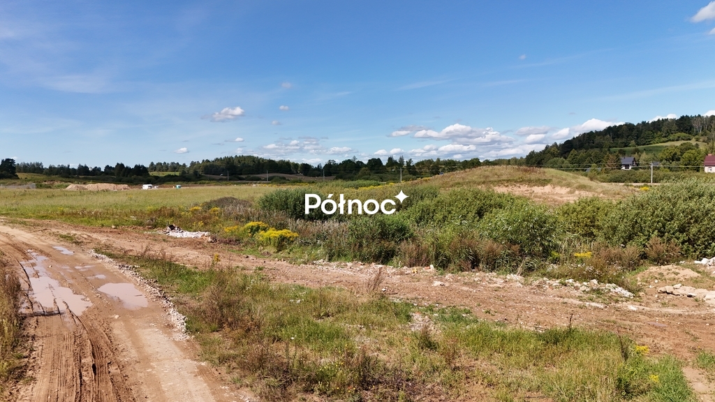 Zdjęcie 10