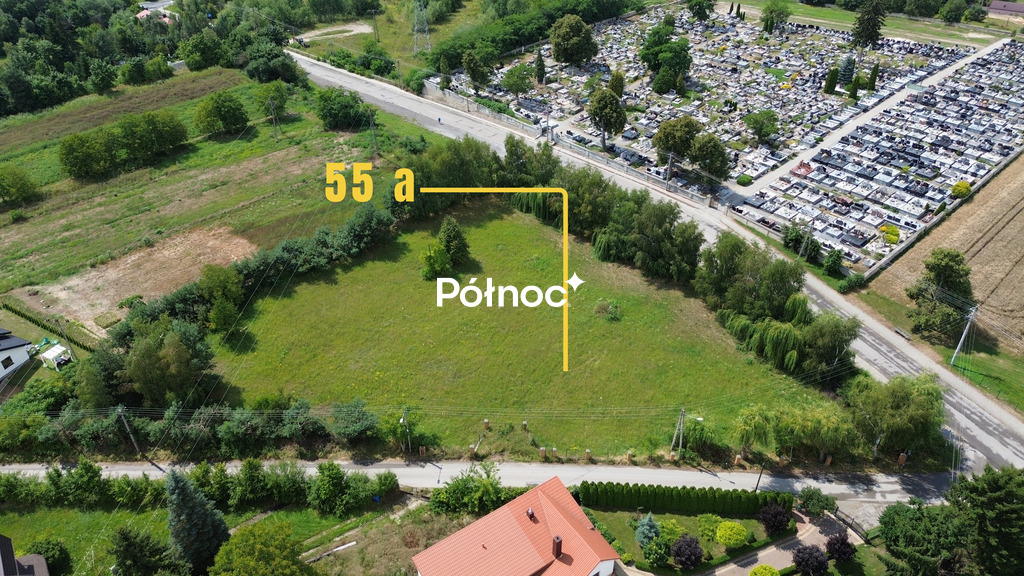 Zdjęcie 3