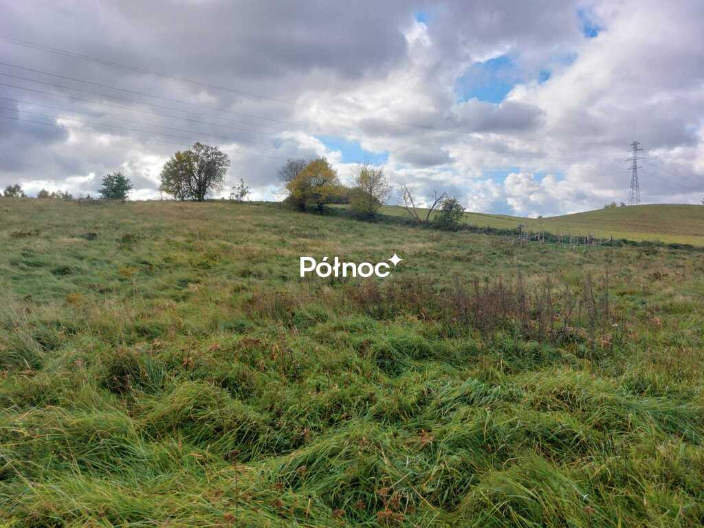 Zdjęcie 4