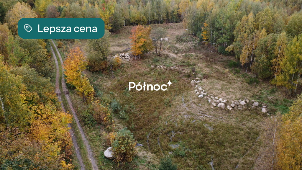 Działka budowlana i inwestycyjna 6 415 m², Piechowice, Piastów