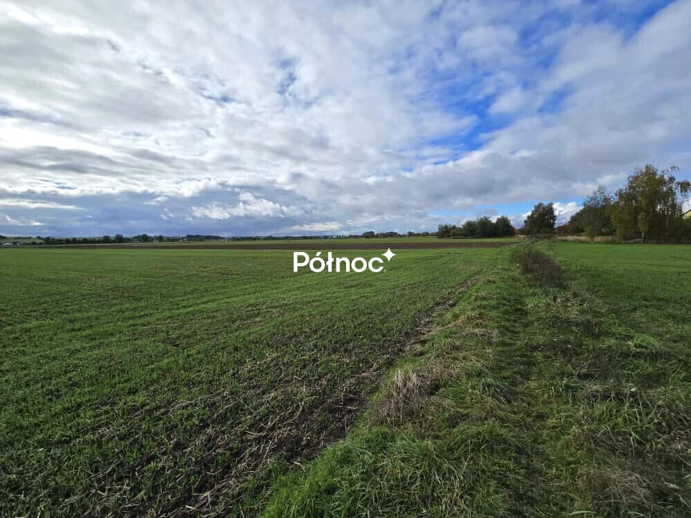 Atrakcyjna działka budowlana- Przybków-Inwestycja