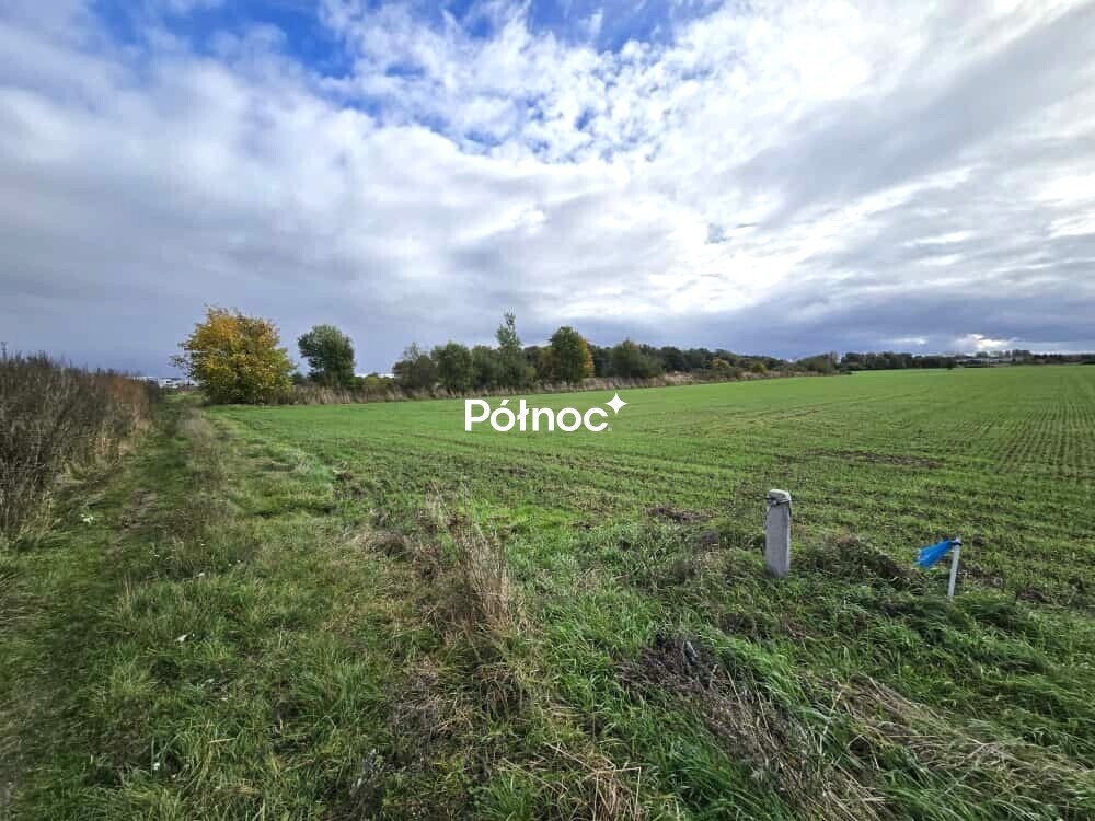 Zdjęcie 3
