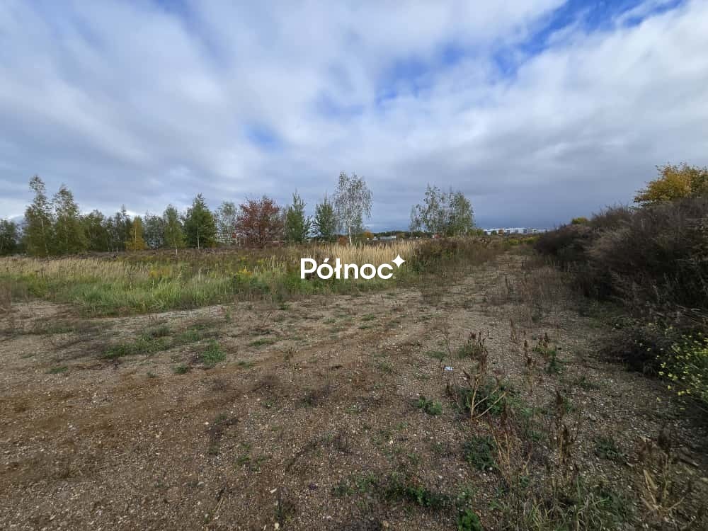 Zdjęcie 4