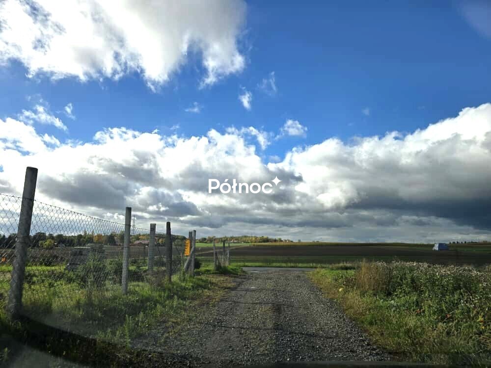 Zdjęcie 6