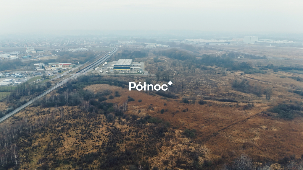 Zdjęcie 5