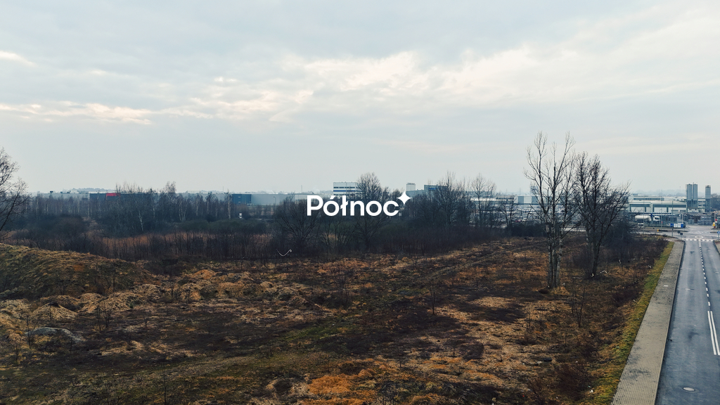 Zdjęcie 6