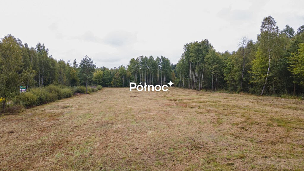 Zdjęcie 3