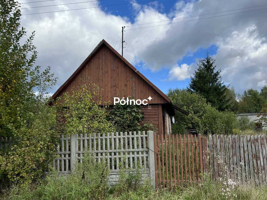 Zdjęcie 6