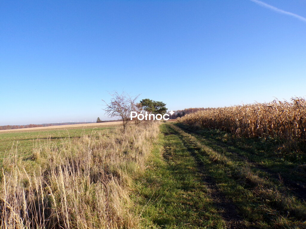 Działka Machowino gm. Ustka