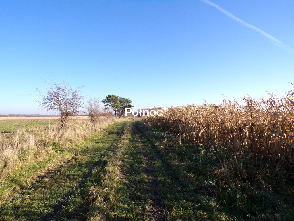 Zdjęcie 5