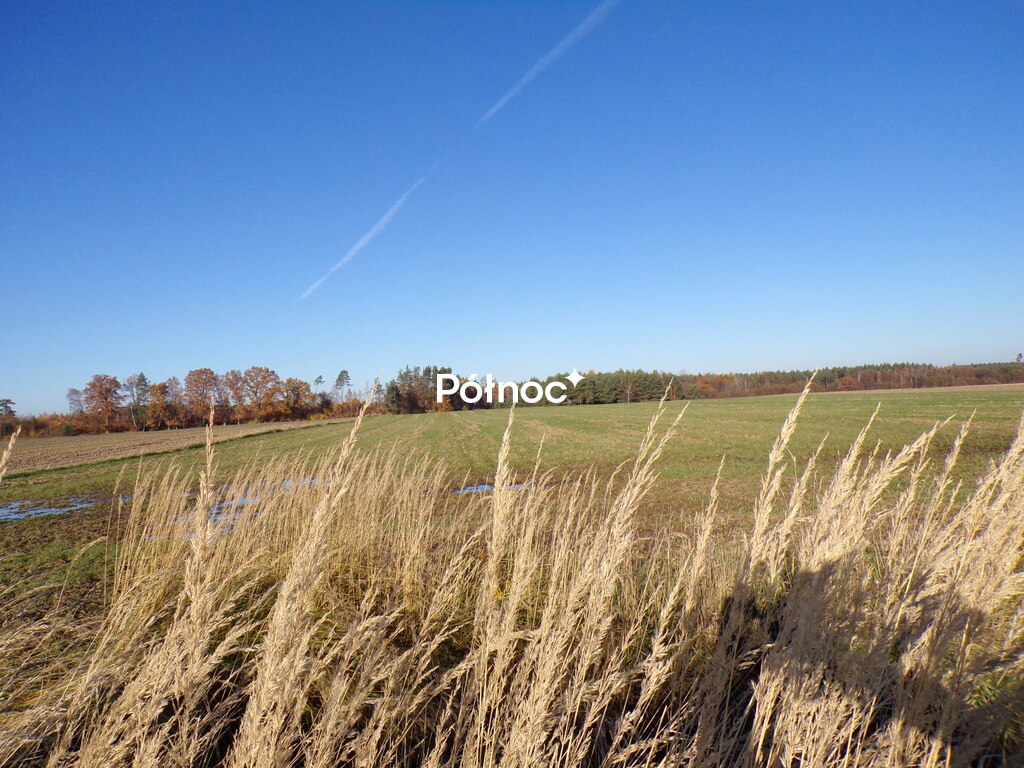 Zdjęcie 9