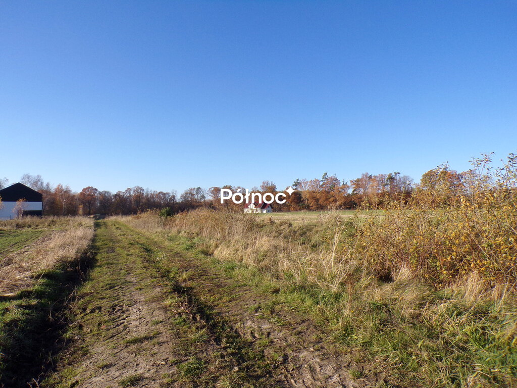 Zdjęcie 11