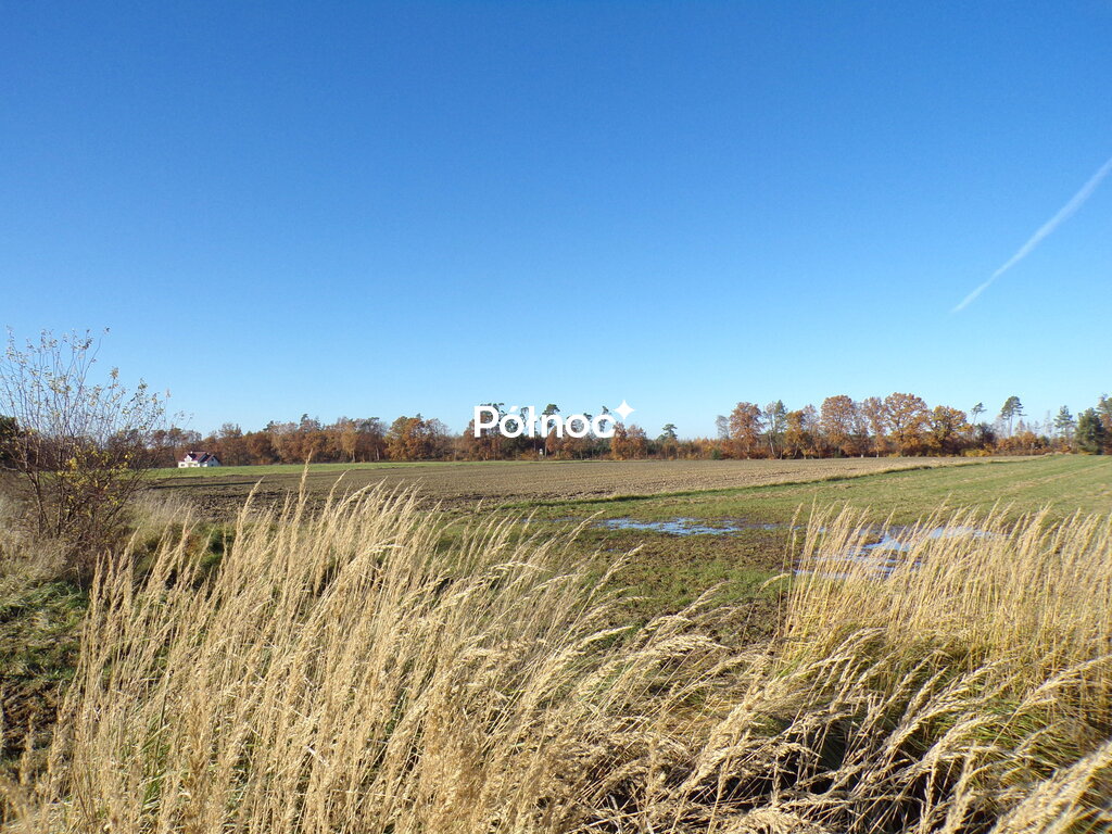 Zdjęcie 12