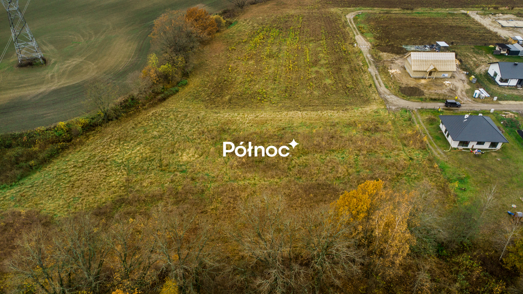 Zdjęcie 2