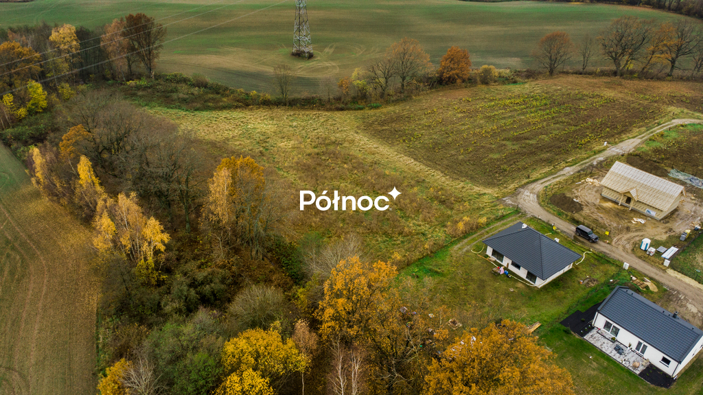 Zdjęcie 3