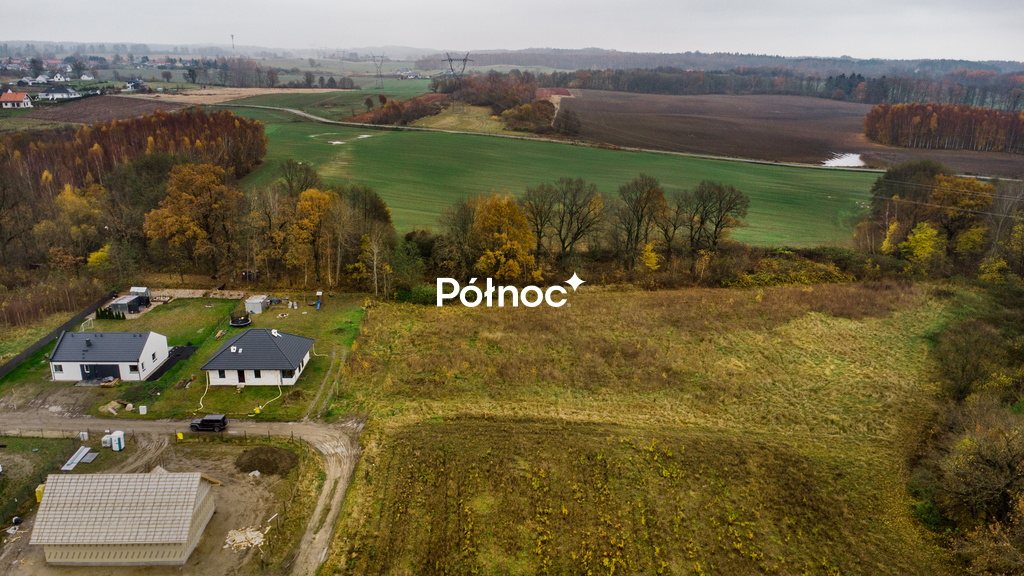 Zdjęcie 5