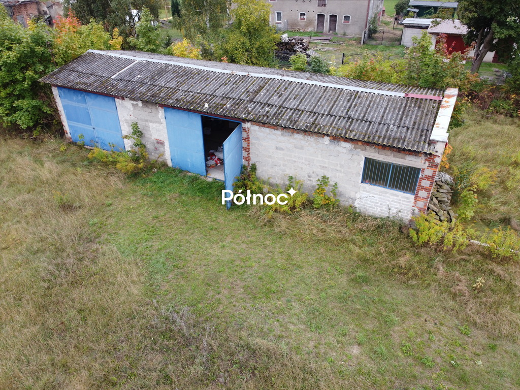 Zdjęcie 8