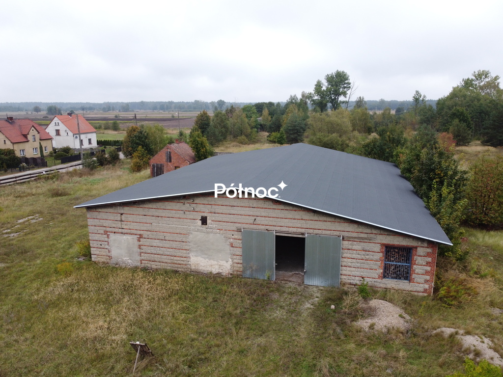 Zdjęcie 11