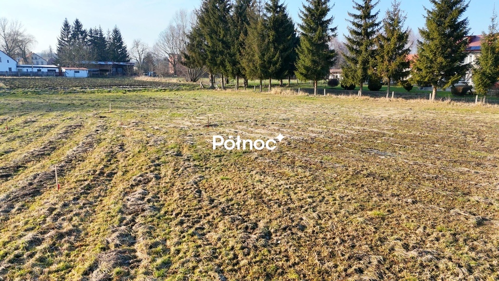 Zdjęcie 2