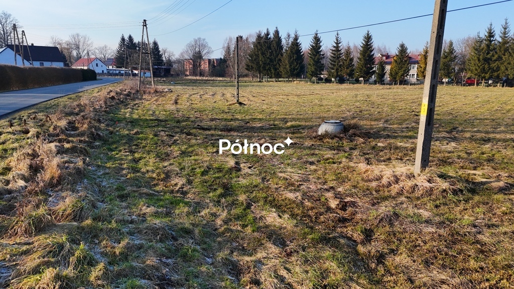 Zdjęcie 3