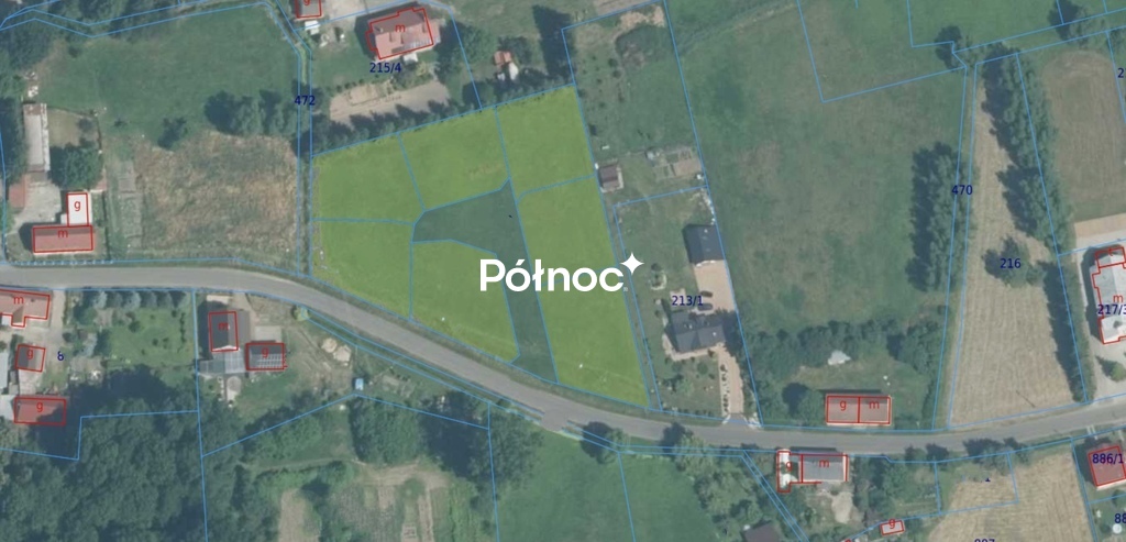 Zdjęcie 5