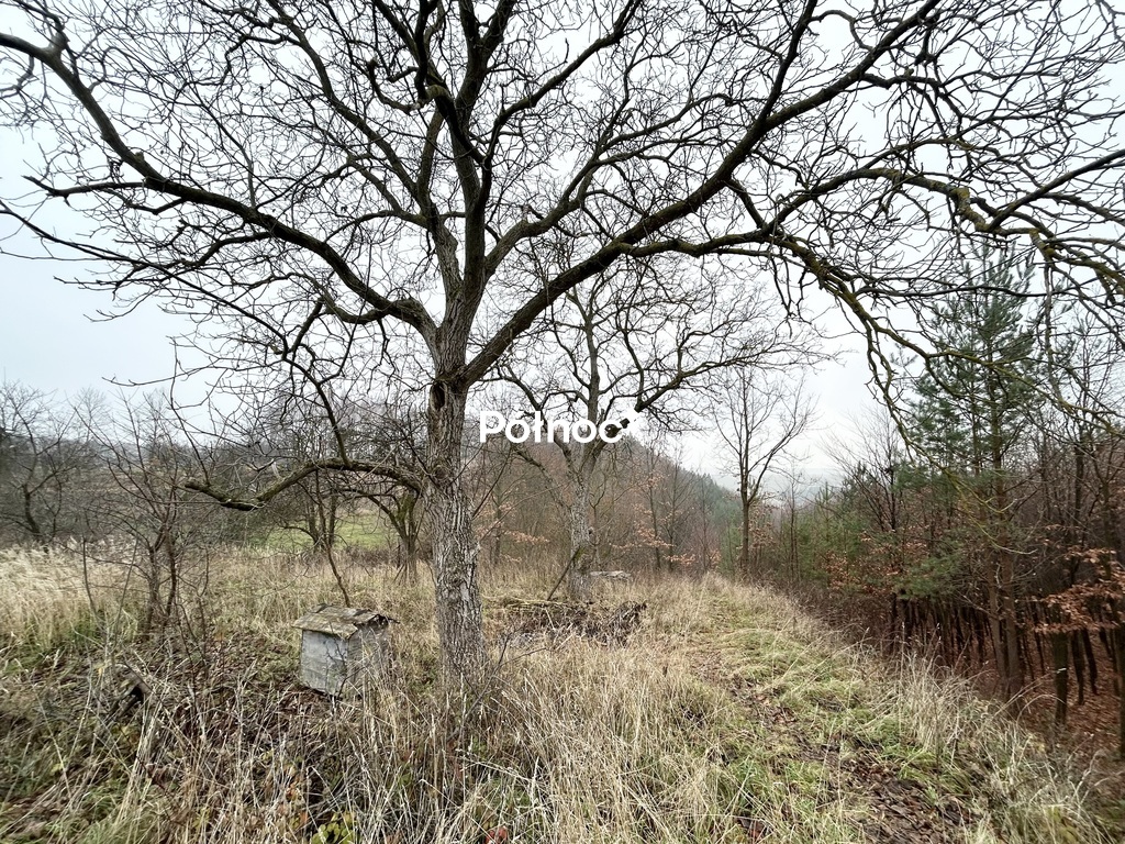 Zdjęcie 5