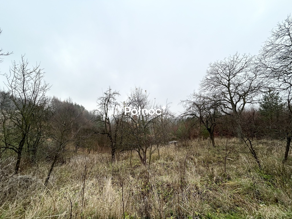 Zdjęcie 6
