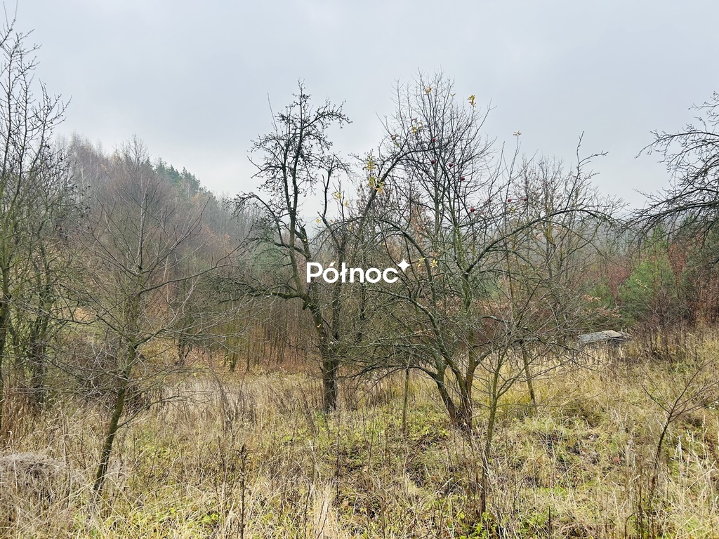 Zdjęcie 7