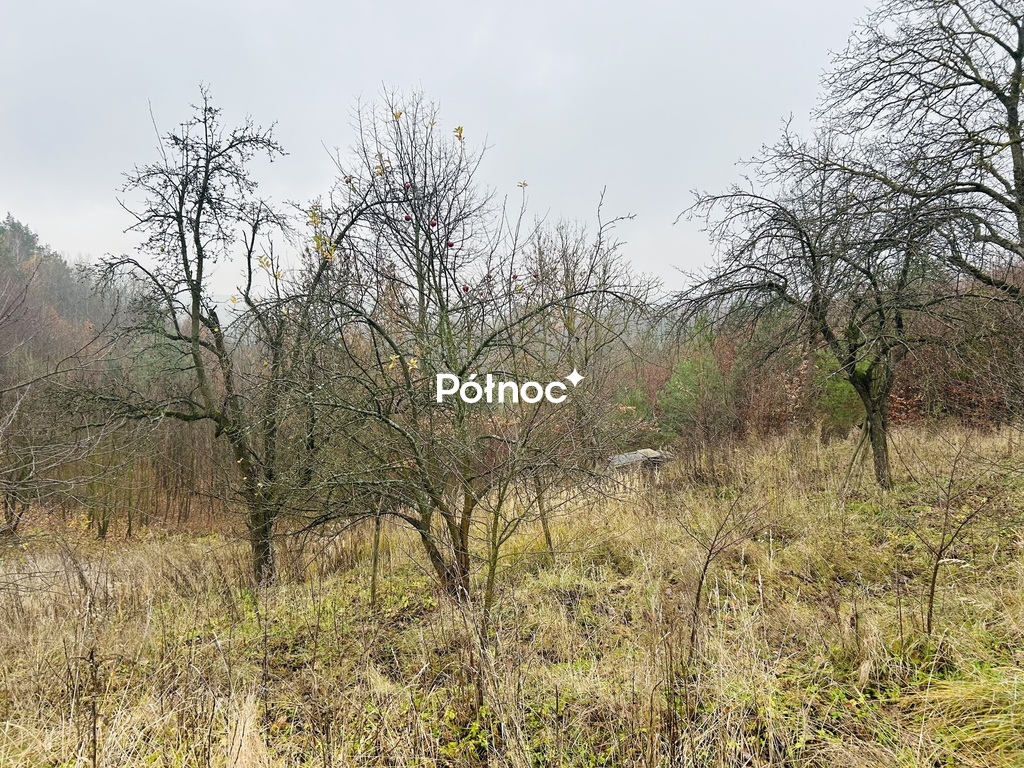 Zdjęcie 8