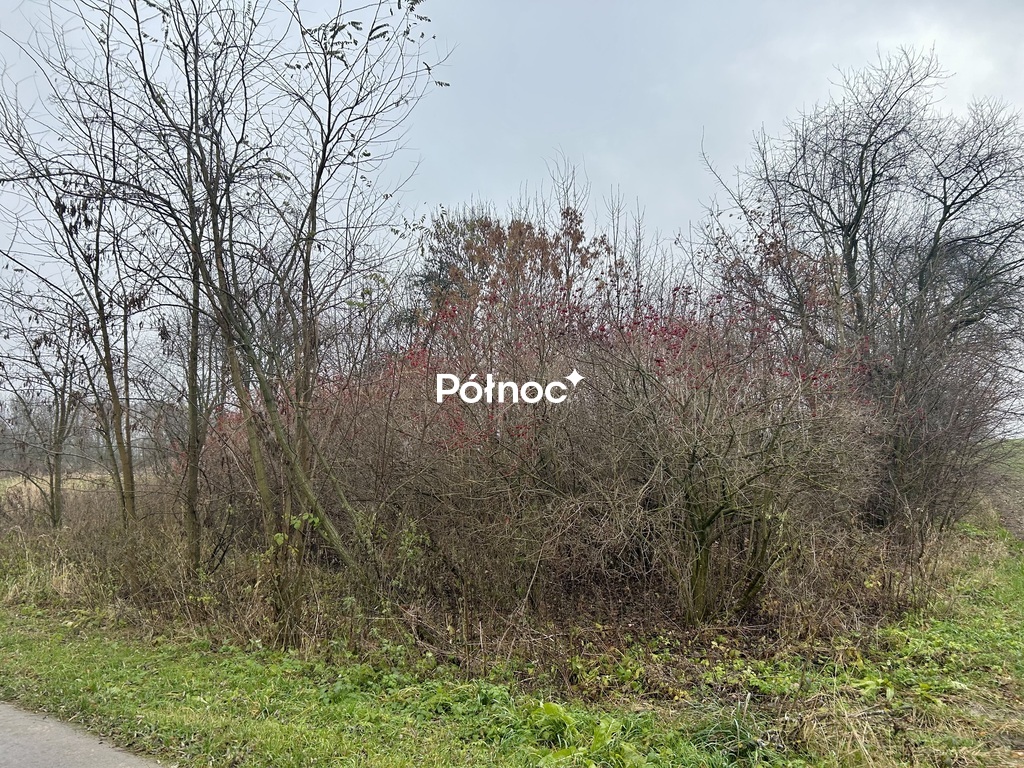 Zdjęcie 9
