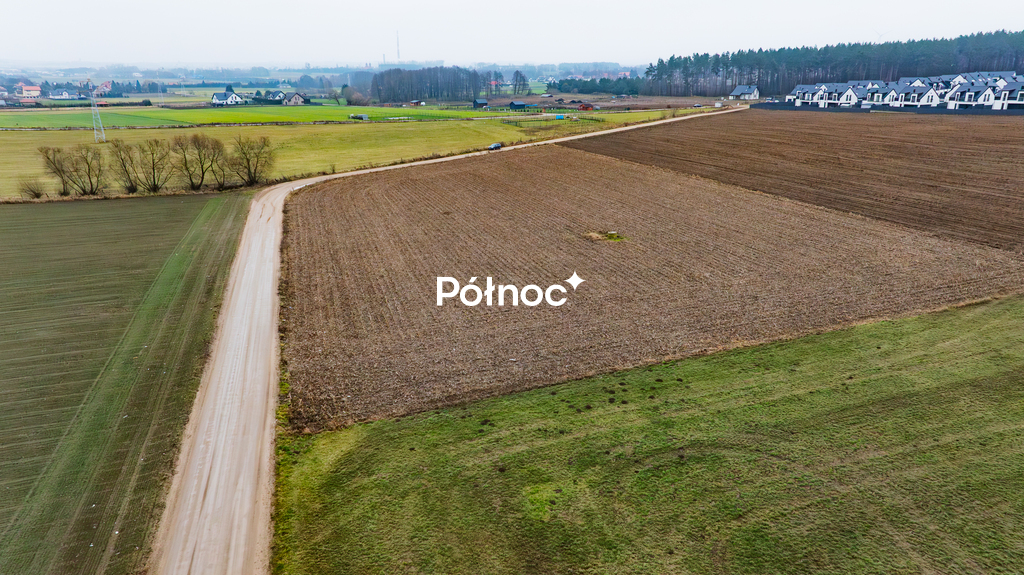 Zdjęcie 6