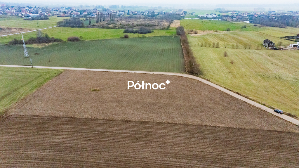 Zdjęcie 8