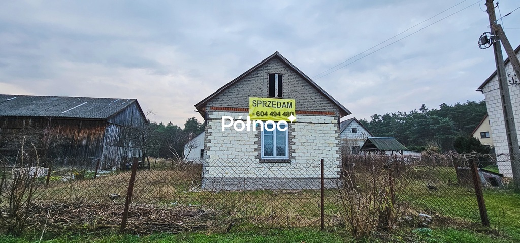 Zdjęcie 4
