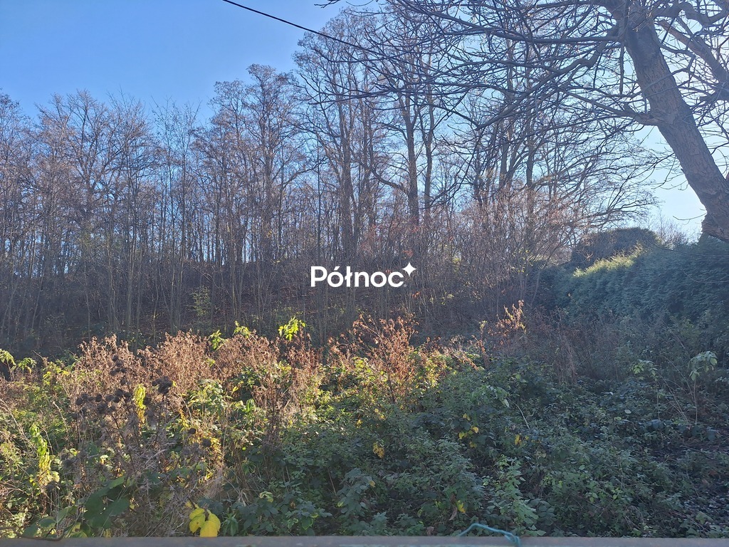 Zdjęcie 3