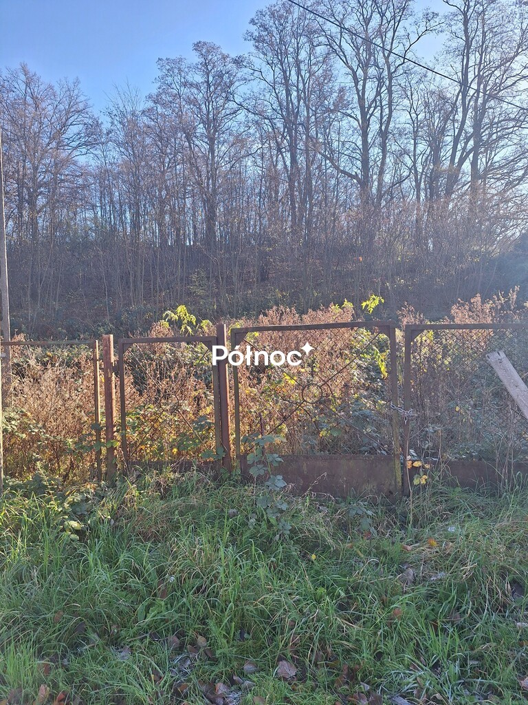 Zdjęcie 5