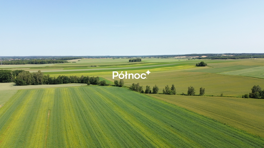 Działka rolna 1 ha, Parzyce