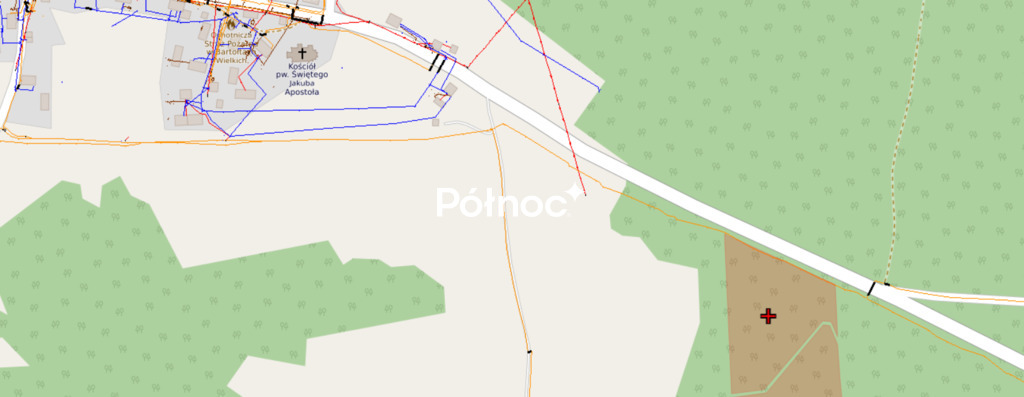 Zdjęcie 3