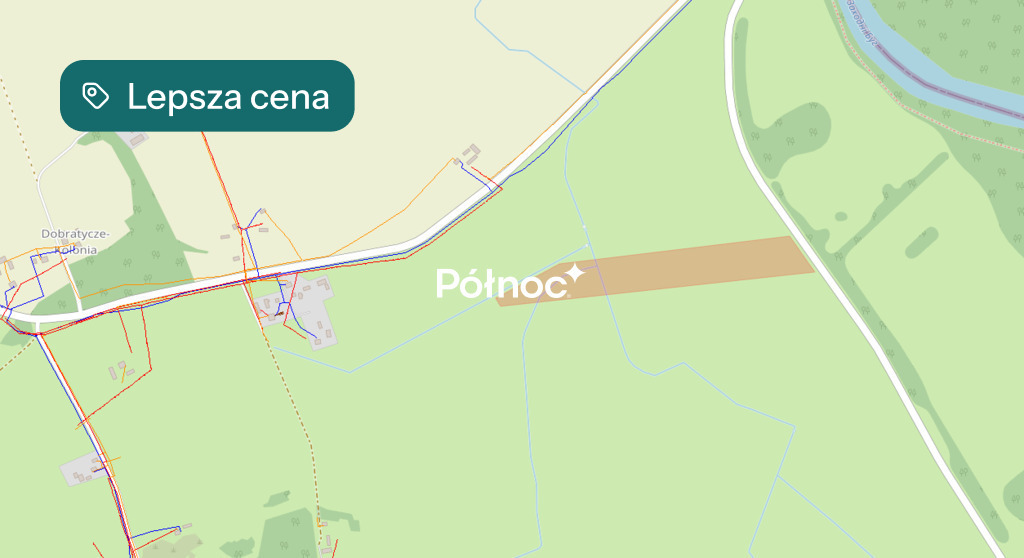 Zdjęcie 7
