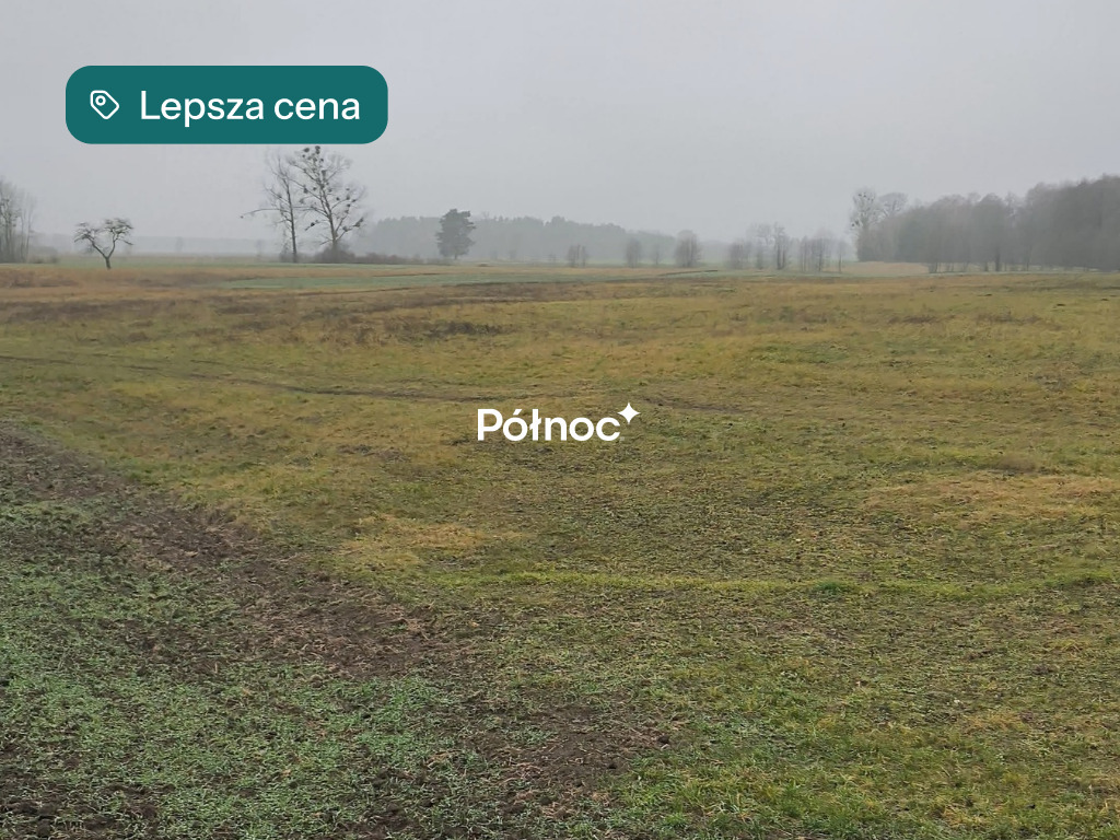 Zdjęcie 9