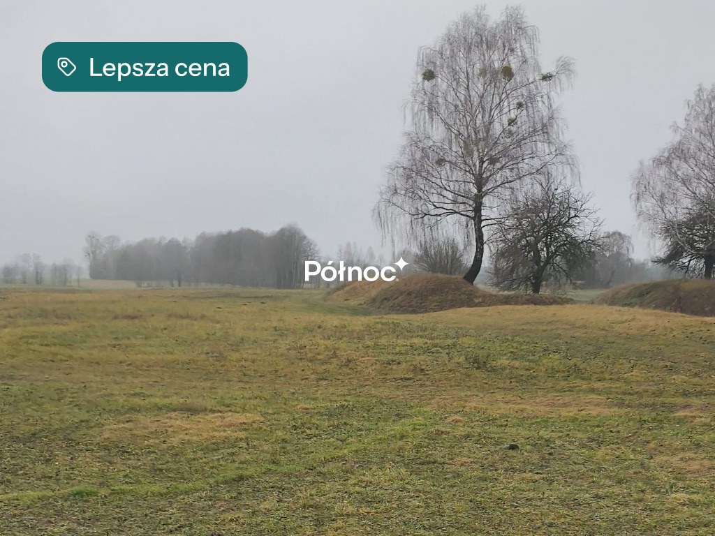 Zdjęcie 10