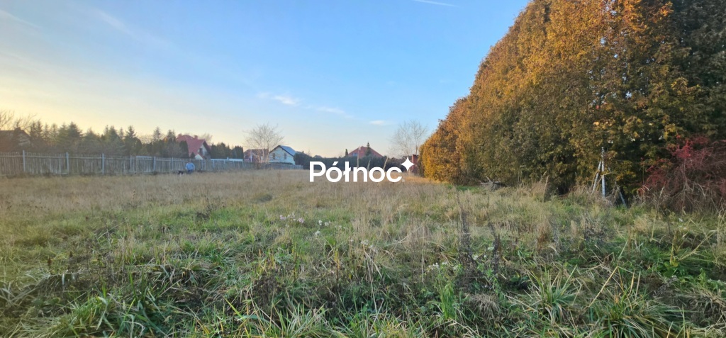 Zdjęcie 4