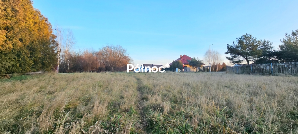 Zdjęcie 5