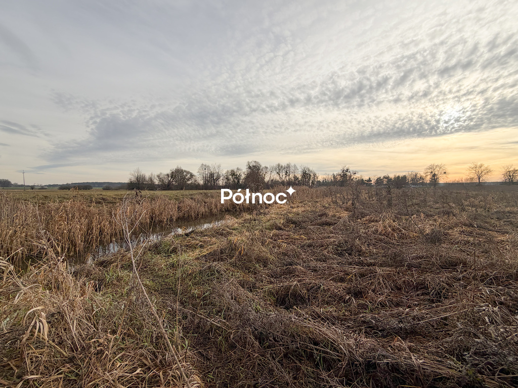 Działka rolna 0,84 ha Turka, gmina Dorohusk