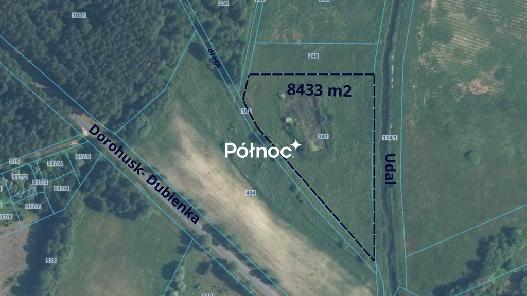 Zdjęcie 2