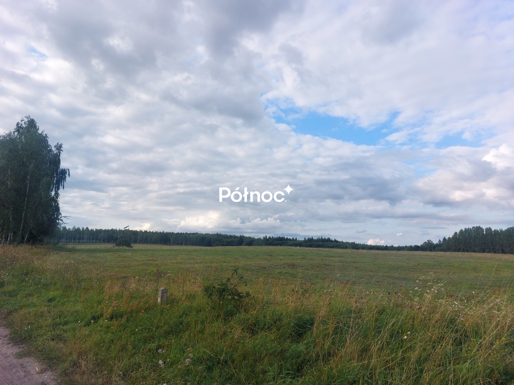 Zdjęcie 5