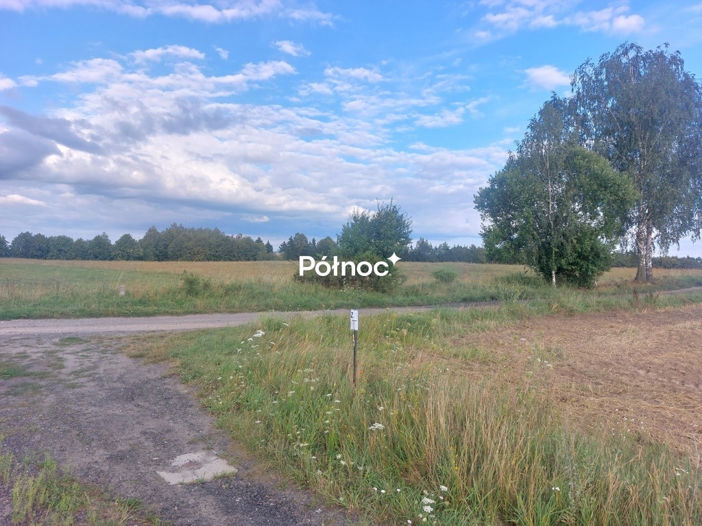 Zdjęcie 6