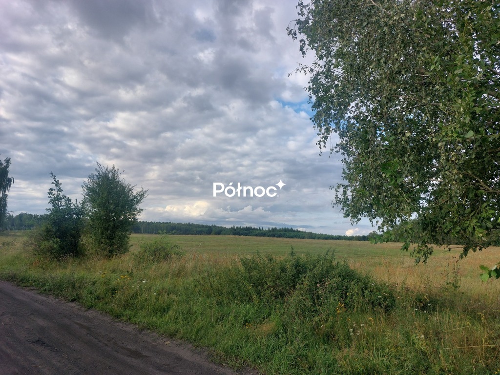 Zdjęcie 7